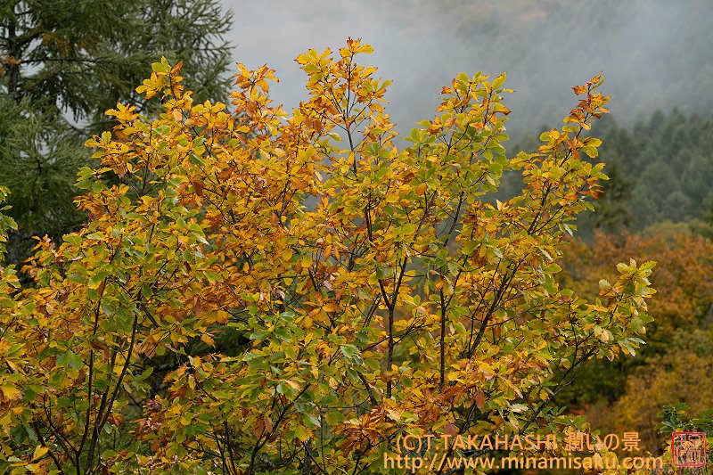 ../Images/7R251019 (200).jpg